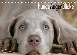 Kalender HundeAugenBlicke (Tischkalender 2023 DIN A5 quer) von Petra Wegner