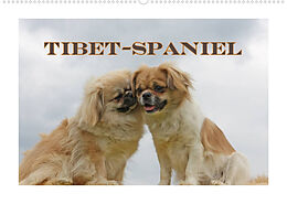 Kalender Tibet-Spaniel (Wandkalender 2023 DIN A2 quer) von Antje Lindert-Rottke