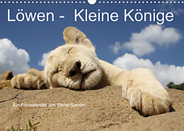 Kalender Löwen - Kleine Könige (Wandkalender 2023 DIN A3 quer) von Stefan Sander