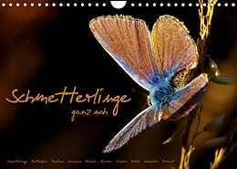 Kalender Schmetterlinge ganz nah (Wandkalender 2023 DIN A4 quer) von Julia Delgado