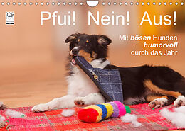 Kalender Pfui! Nein! Aus! - Mit bösen Hunden humorvoll durch das Jahr (Wandkalender 2023 DIN A4 quer) von Petra Wegner
