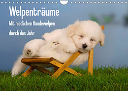 Kalender Welpenträume - Mit niedlichen Hundewelpen durch das Jahr (Wandkalender 2023 DIN A4 quer) von Petra Wegner