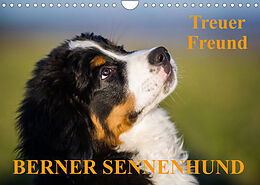 Kalender Treuer Freund Berner Sennenhund (Wandkalender 2023 DIN A4 quer) von Sigrid Starick