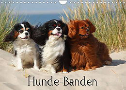 Kalender Hunde-Banden (Wandkalender 2023 DIN A4 quer) von Petra Wegner