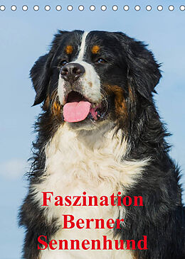 Kalender Faszination Berner Sennenhund (Tischkalender 2023 DIN A5 hoch) von Sigrid Starick