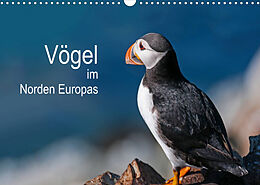 Kalender Vögel im Norden Europas (Wandkalender 2023 DIN A3 quer) von Martin Thoma