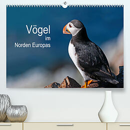 Kalender Vögel im Norden Europas (Premium, hochwertiger DIN A2 Wandkalender 2023, Kunstdruck in Hochglanz) von Martin Thoma