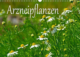 Kalender Arzneipflanzen (Wandkalender 2023 DIN A3 quer) von LianeM