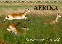 Kalender Afrika - Faszinierende Tierwelt (Tischkalender 2023 DIN A5 quer) von Nadine Haase