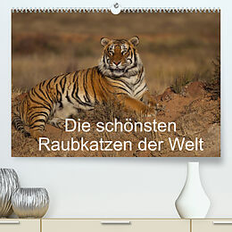 Kalender Die schönsten Raubkatzen der Welt (Premium, hochwertiger DIN A2 Wandkalender 2023, Kunstdruck in Hochglanz) von Marion Vollborn