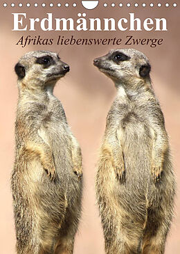 Kalender Erdmännchen - Afrikas liebenswerte Zwerge (Wandkalender 2023 DIN A4 hoch) von Elisabeth Stanzer