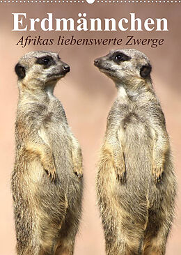 Kalender Erdmännchen - Afrikas liebenswerte Zwerge (Wandkalender 2023 DIN A2 hoch) von Elisabeth Stanzer