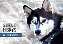 Kalender Sibirische Huskys aus Deutschland (Wandkalender 2023 DIN A4 quer) von Andrea Hentschel