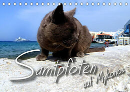 Kalender SAMTPFOTEN auf Mykonos (Tischkalender 2023 DIN A5 quer) von Renate Bleicher