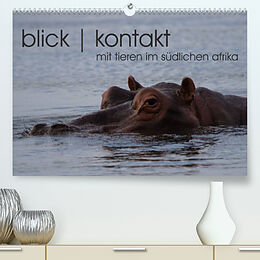 Kalender blick kontakt mit tieren im südlichen afrika (Premium, hochwertiger DIN A2 Wandkalender 2023, Kunstdruck in Hochglanz) von rsiemer