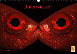 Kalender Unterwasser (Wandkalender 2023 DIN A3 quer) von Bettina Balnis