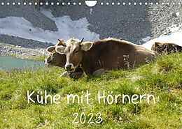 Kalender Kühe mit Hörnern (Wandkalender 2023 DIN A4 quer) von Stefanie Goldscheider