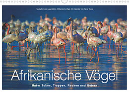 Kalender Afrikanische Vögel (Wandkalender 2023 DIN A3 quer) von Rainer Tewes