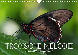 Kalender Tropische Melodie - Schmetterlinge Vol.2 (Wandkalender 2023 DIN A4 quer) von Vronja Photon (Veronika Verenin)