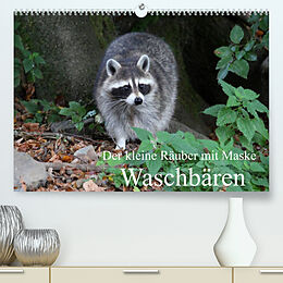 Kalender Der kleine Räuber mit Maske - Waschbären (Premium, hochwertiger DIN A2 Wandkalender 2023, Kunstdruck in Hochglanz) von Arno Klatt