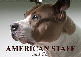 Kalender American Staff und Co. (Wandkalender 2023 DIN A3 quer) von Elisabeth Stanzer