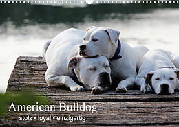 Kalender American Bulldog - stolz, loyal, einzigartig (Wandkalender 2023 DIN A3 quer) von Denise Schmöhl