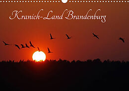 Kalender Kranich-Land Brandenburg (Wandkalender 2023 DIN A3 quer) von Klaus Konieczka