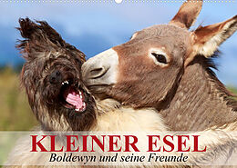Kalender Kleiner Esel. Boldewyn und seine Freunde (Wandkalender 2023 DIN A2 quer) von Elisabeth Stanzer