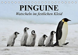 Kalender Pinguine - Watscheln im festlichen Kleid (Tischkalender 2023 DIN A5 quer) von Elisabeth Stanzer