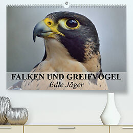 Kalender Falken und Greifvögel. Edle Jäger (Premium, hochwertiger DIN A2 Wandkalender 2023, Kunstdruck in Hochglanz) von Elisabeth Stanzer
