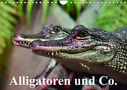 Kalender Alligatoren und Co. (Wandkalender 2023 DIN A4 quer) von Elisabeth Stanzer