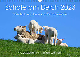 Kalender Schafe am Deich 2023. Tierische Impressionen von der Nordseeküste (Wandkalender 2023 DIN A3 quer) von Steffani Lehmann