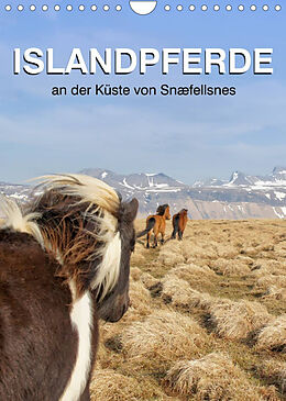 Kalender ISLANDPFERDE an der Küste von Snæfellsnes (Wandkalender 2023 DIN A4 hoch) von Jutta Albert