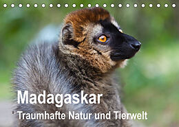 Kalender Madagaskar. Traumhafte Natur und Tierwelt (Tischkalender 2023 DIN A5 quer) von Sabine Reuke