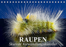 Kalender Raupen - Skurrile Verwandlungskünstler (Tischkalender 2023 DIN A5 quer) von Elisabeth Stanzer