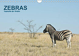 Kalender Zebras - Faszination der Streifen (Wandkalender 2023 DIN A4 quer) von Thomas Krebs