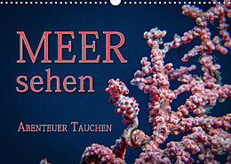 Kalender Meer sehen - Abenteuer Tauchen (Wandkalender 2023 DIN A3 quer) von Dieter Gödecke