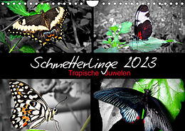 Kalender Schmetterlinge 2023 - Tropische Juwelen (Wandkalender 2023 DIN A4 quer) von © Mirko Weigt, Hamburg