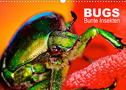 Kalender BUGS, Bunte Insekten (Wandkalender 2023 DIN A3 quer) von Hannes Bertolini