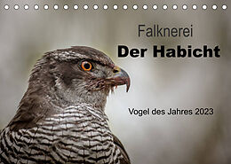 Kalender Falknerei Der Habicht (Tischkalender 2023 DIN A5 quer) von Tanja Brandt