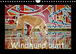 Kalender Windhund bunt (Wandkalender 2023 DIN A4 quer) von Kathrin Köntopp