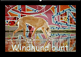 Kalender Windhund bunt (Wandkalender 2023 DIN A2 quer) von Kathrin Köntopp