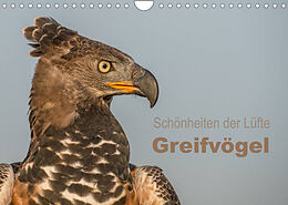 Kalender Schönheiten der Lüfte - Greifvögel (Wandkalender 2023 DIN A4 quer) von Tanja Brandt