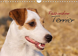 Kalender Faszination Terrier (Wandkalender 2023 DIN A4 quer) von Nadine Gerlach