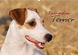 Kalender Faszination Terrier (Wandkalender 2023 DIN A2 quer) von Nadine Gerlach