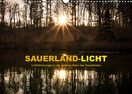Kalender Sauerland-Licht - Lichtstimmungen in der schönen Natur des Sauerlandes (Wandkalender 2023 DIN A3 quer) von Heidi Bücker