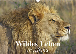 Kalender Wildes Leben in Afrika (Wandkalender 2023 DIN A3 quer) von Elisabeth Stanzer