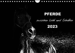 Kalender Pferde zwischen Licht und Schatten (Wandkalender 2023 DIN A4 quer) von Sabine Peters Artwork &amp; Photographie