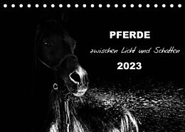 Kalender Pferde zwischen Licht und Schatten (Tischkalender 2023 DIN A5 quer) von Sabine Peters Artwork &amp; Photographie