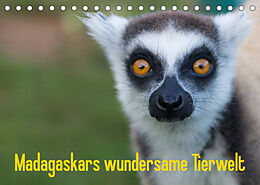 Kalender Madagaskars wundersame Tierwelt (Tischkalender 2023 DIN A5 quer) von Antje Hopfmann